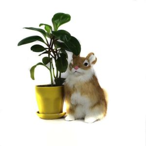 peluche lapin assis brun